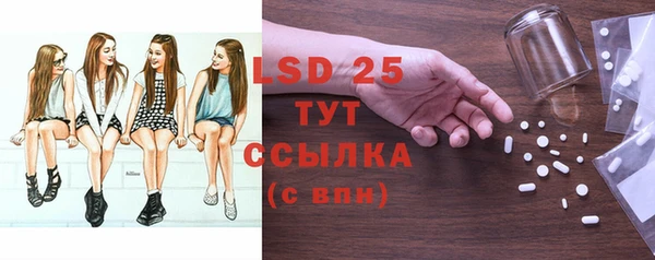 крисы Богородицк