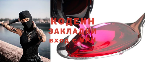 крисы Богородицк