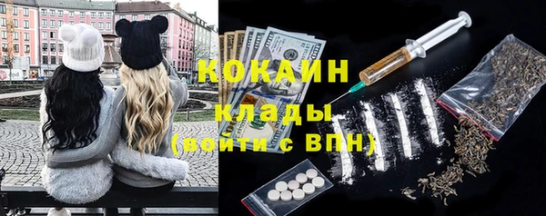крисы Богородицк