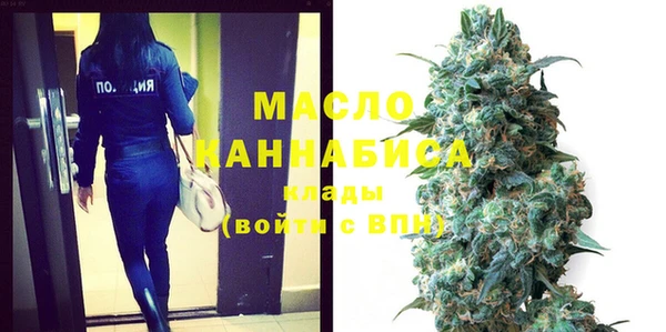 крисы Богородицк