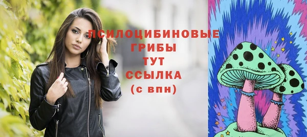 крисы Богородицк