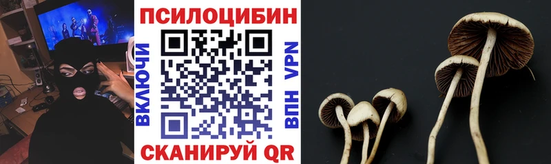 Галлюциногенные грибы Psilocybine cubensis  Володарск 